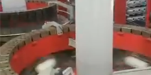 6 SHUTTLE LOOM